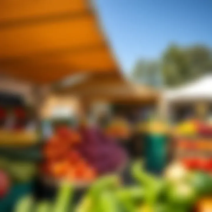 Outside view of a vibrant fruit and vegetable market in Somerset West with fresh produce displayed under tents