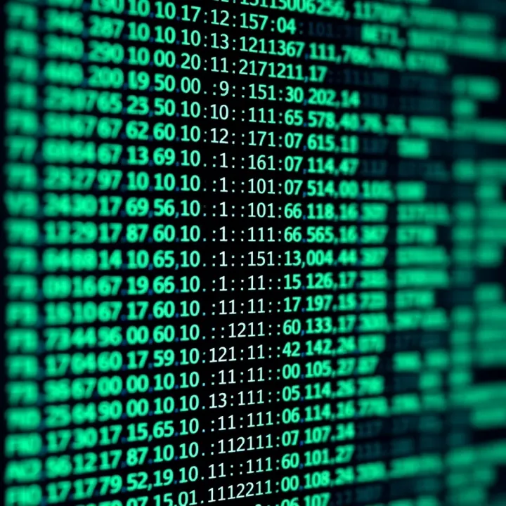 Screenshot of a binary file open in a hex viewer showing raw hexadecimal and ASCII data